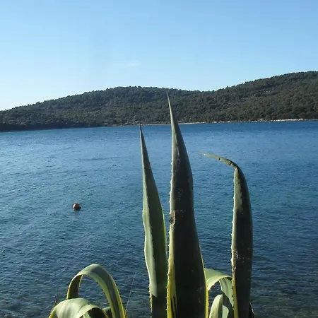 Hana - * Tisno